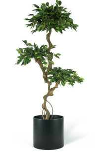 0406 kunstplant crazy ficus