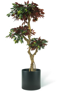 0406-b kunstplant crazy ficus_000